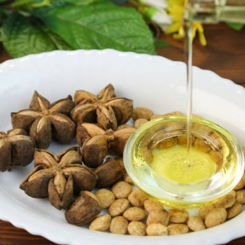 Unlocking the Health Benefits of Sacha Inchi Oil: Nature's Superfood