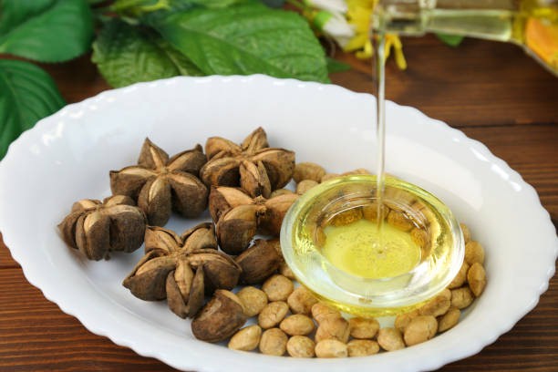 Unlocking the Health Benefits of Sacha Inchi Oil: Nature's Superfood